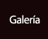 Galerias